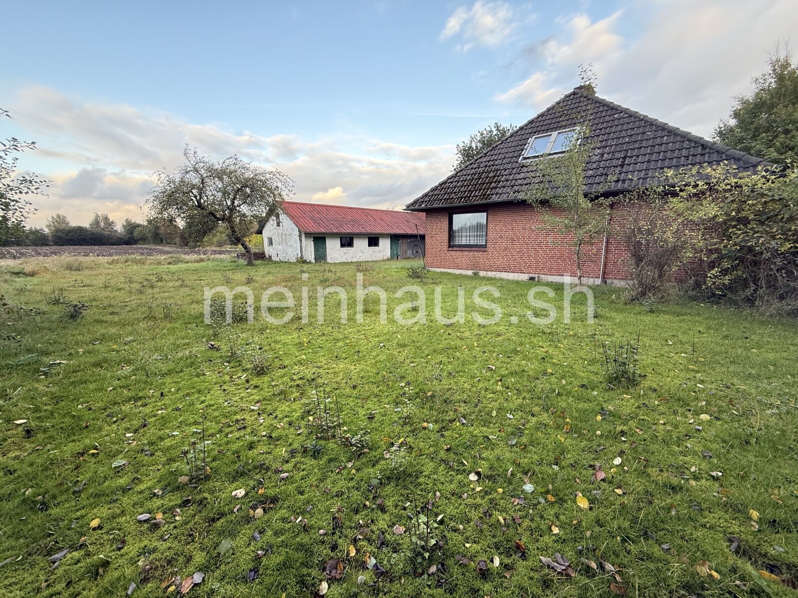 Einfamilienhaus mit großem Grundstück & Landwirtschaftsfläche in Wees